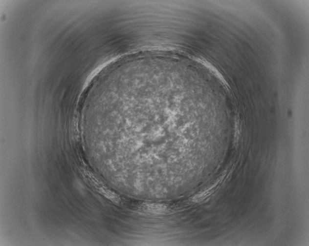 X0000085060878200703191322