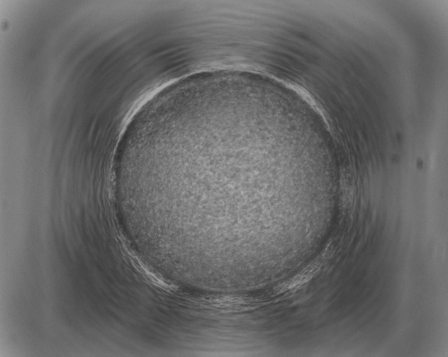 X0000085060879200703191322