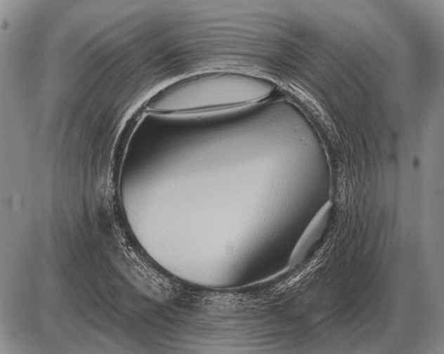 X0000085060880200703191322