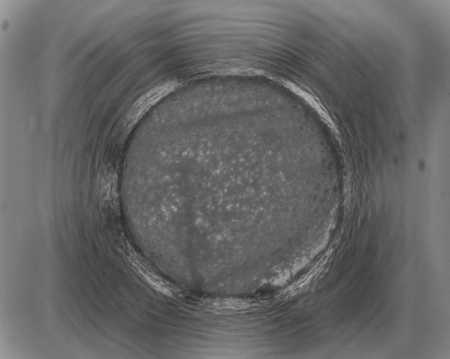 X0000085060881200703191322