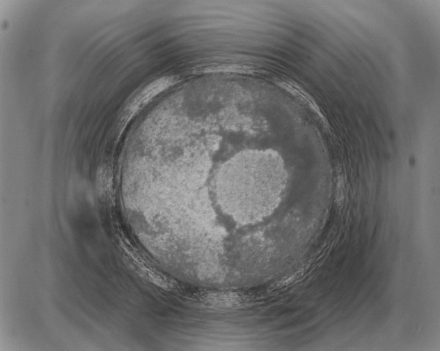 X0000085060882200703191322