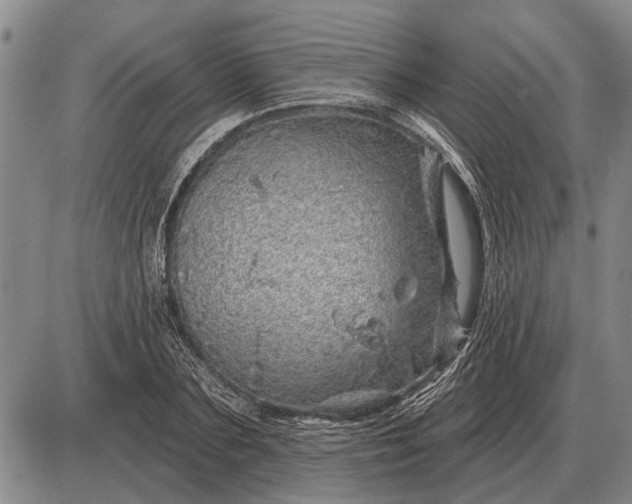 X0000085060883200703191322