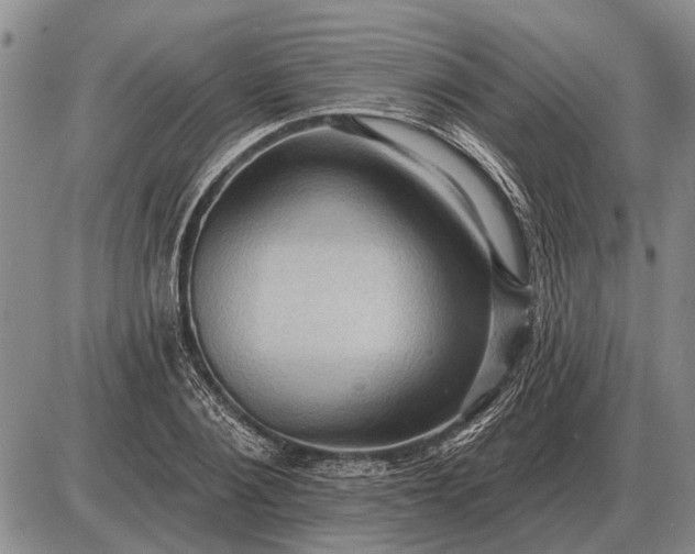 X0000085060884200703191322