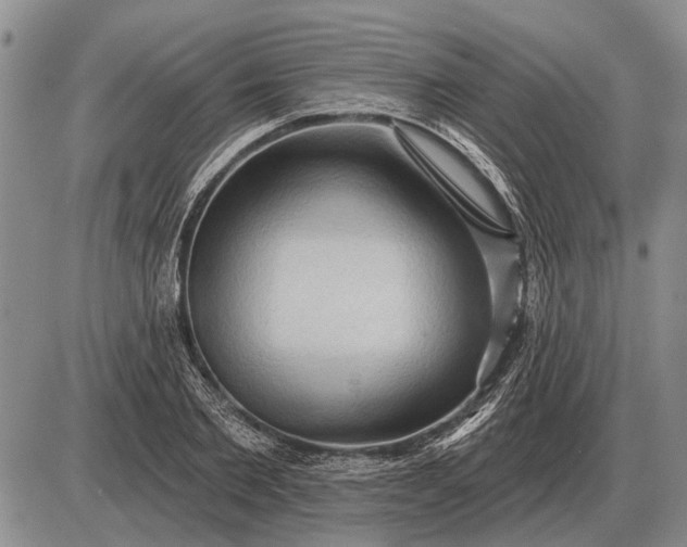 X0000085060885200703191322