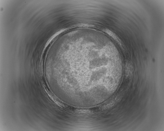 X0000085060886200703191322