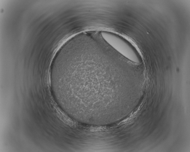 X0000085060887200703191322