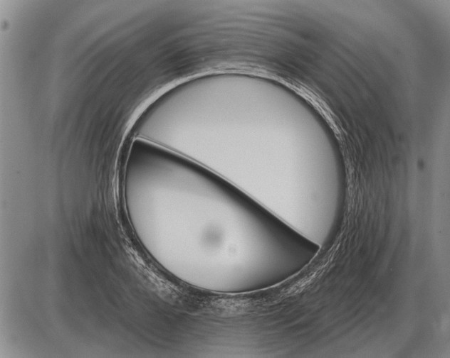 X0000085060888200703191322