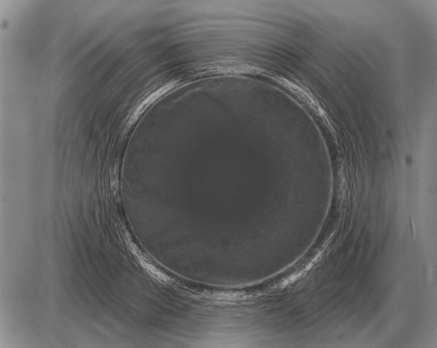 X0000085060889200703191322