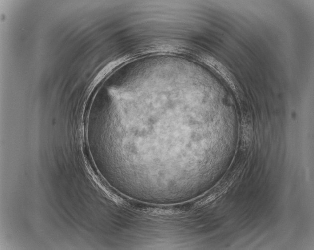 X0000085060890200703191322