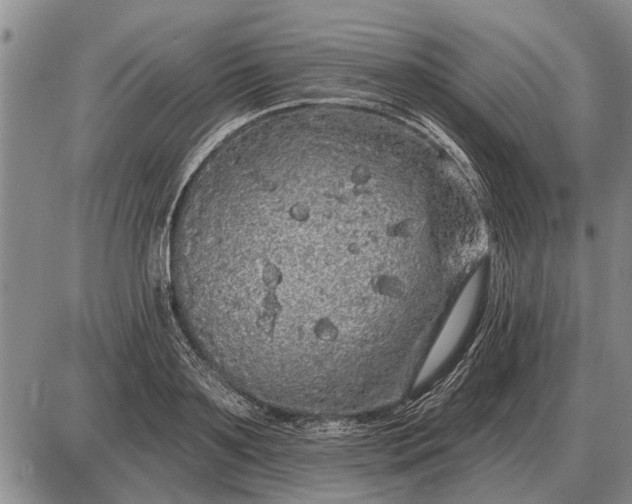 X0000085060891200703191322