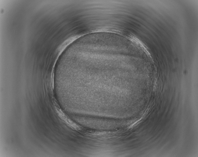 X0000085060892200703191322