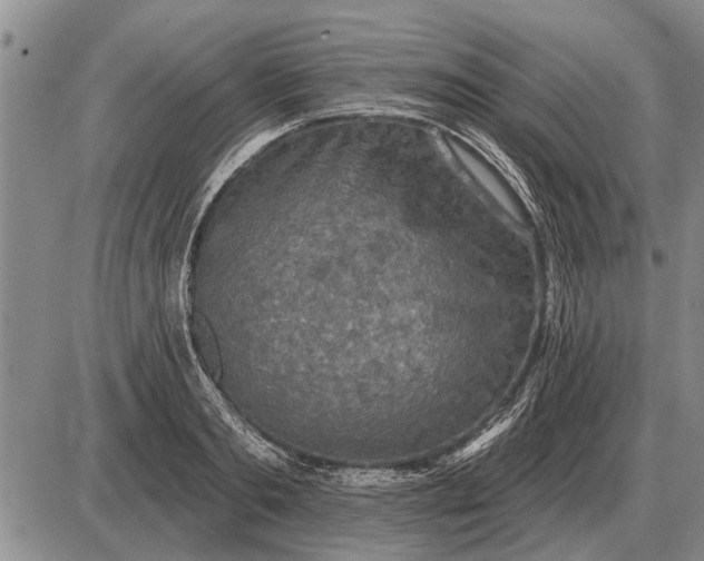 X0000085060893200703191322