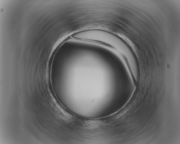 X0000085060894200703191322