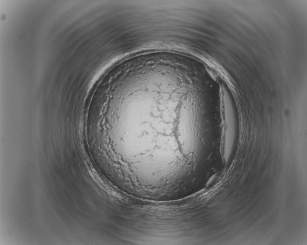 X0000085060896200703191322