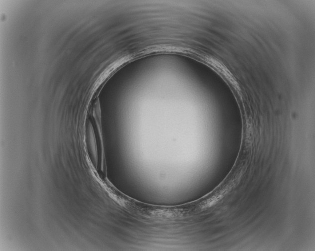 X0000085060898200703191322