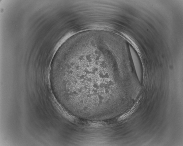 X0000085060899200703191322