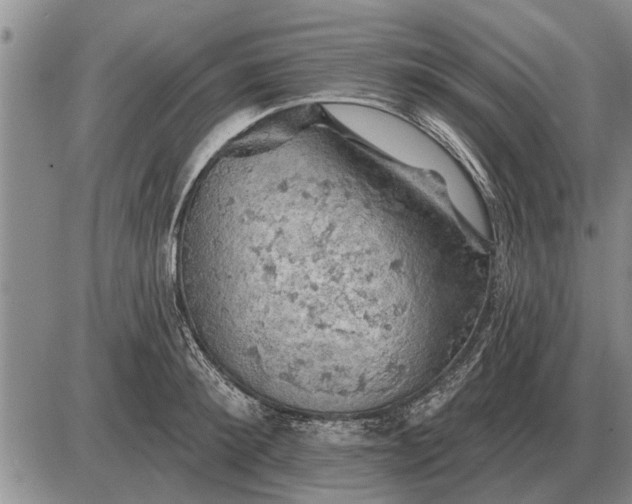 X0000085060900200703191322