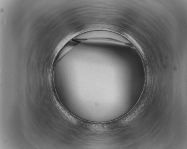 X0000085060901200703191322