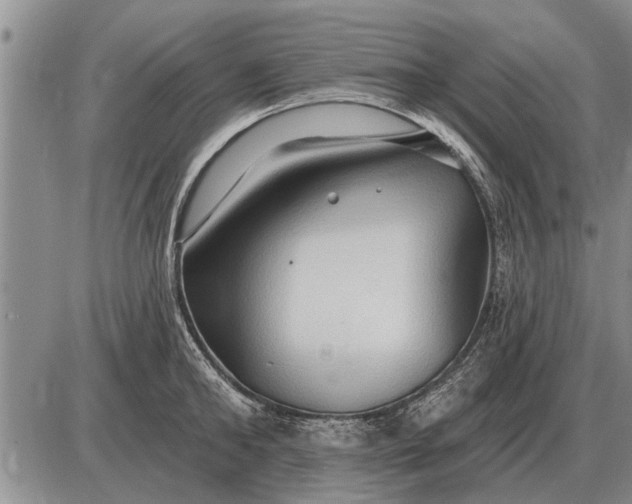 X0000085060902200703191322