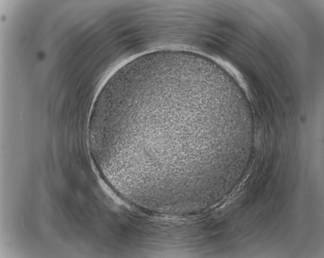 X0000085060903200703191322