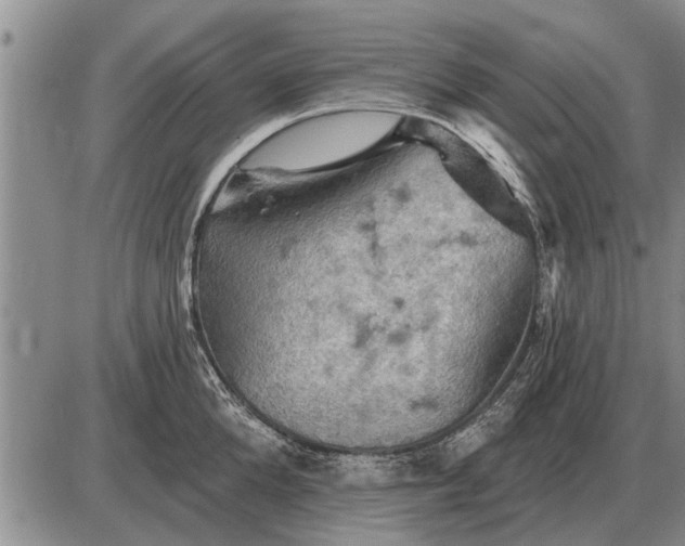 X0000085060904200703191322