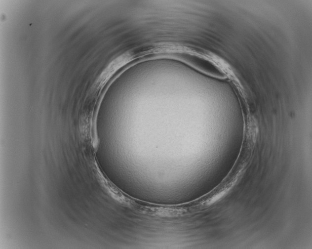 X0000085060905200703191322