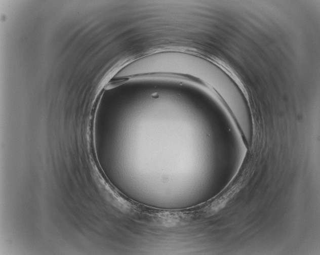 X0000085060906200703191322