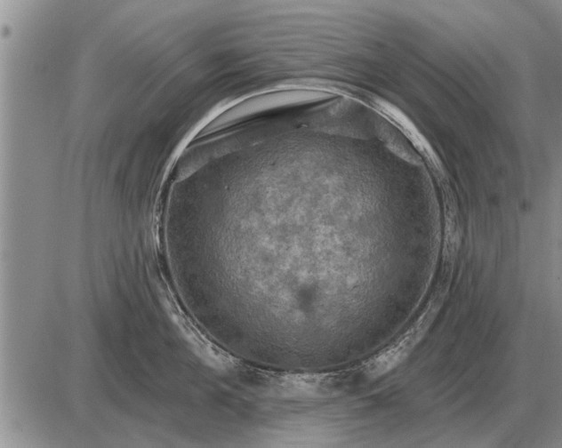 X0000085060908200703191321