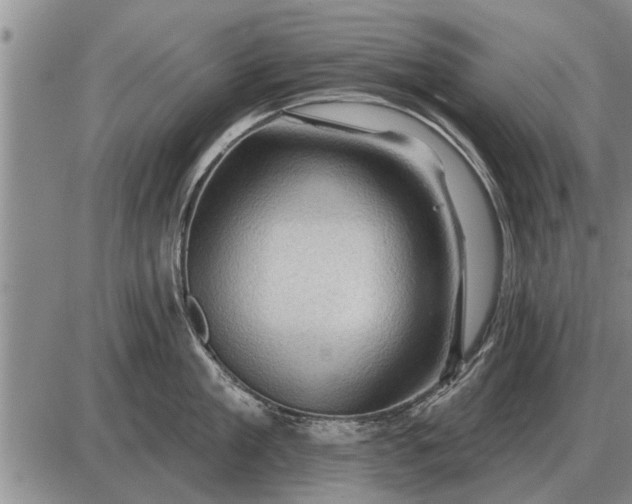 X0000085060909200703191321