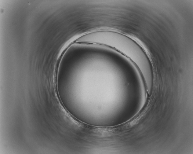 X0000085060910200703191321