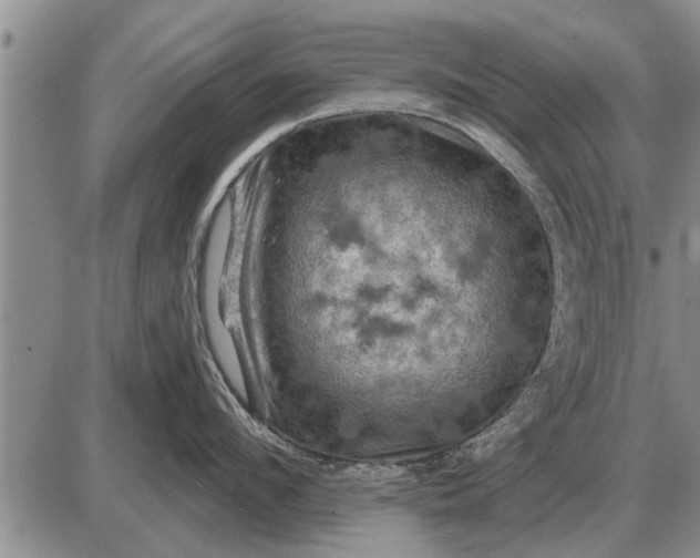 X0000085060912200703191321