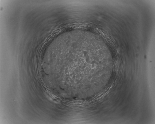 X0000085060913200703191321