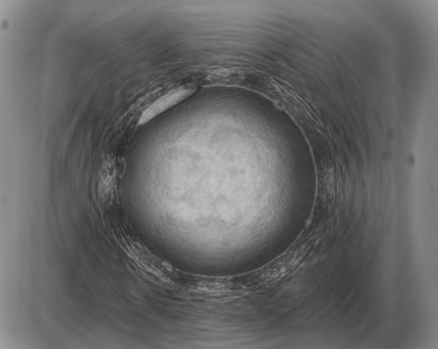 X0000085060914200703191321