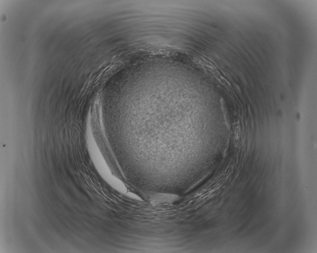 X0000085060916200703191321