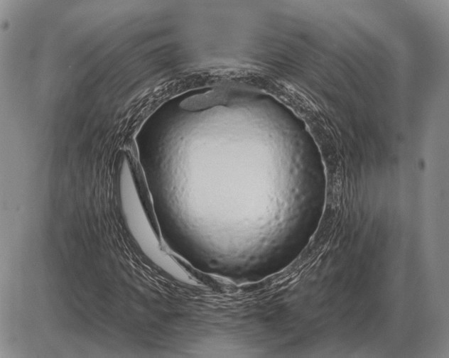 X0000085060917200703191321