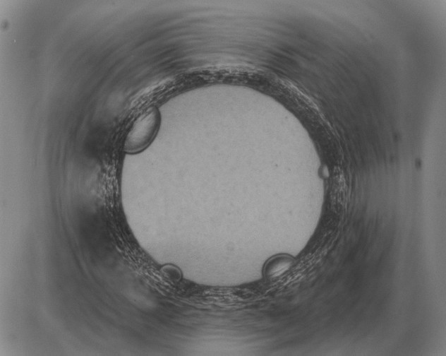 X0000085060918200703191321