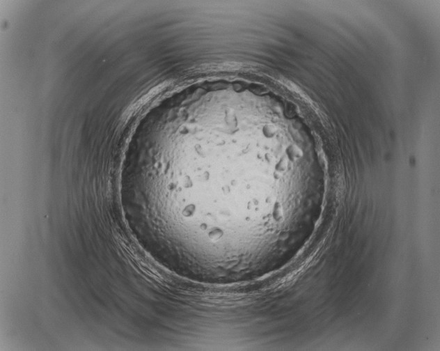 X0000085060921200703191321