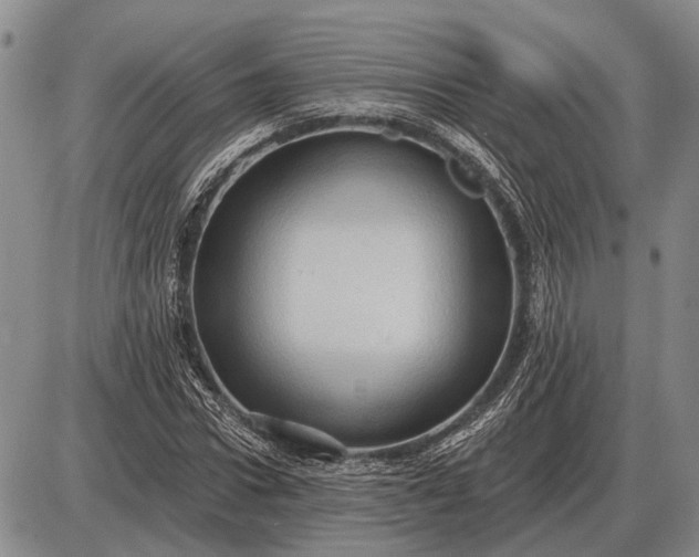 X0000085060922200703191321