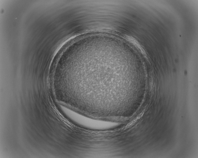 X0000085060924200703191321