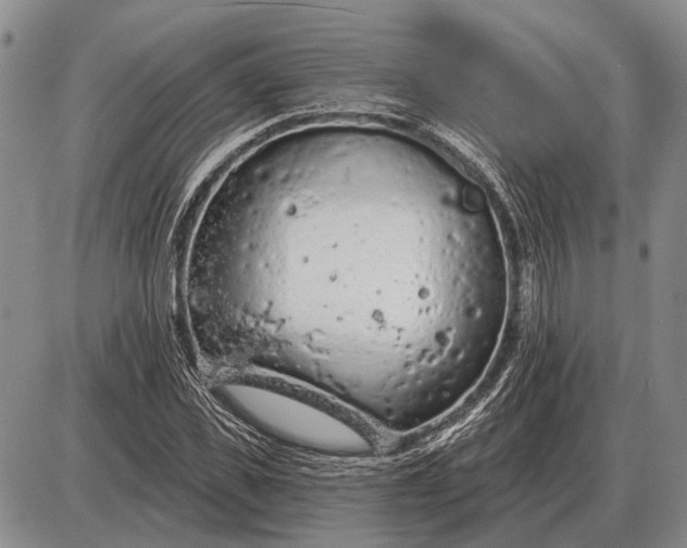 X0000085060925200703191321