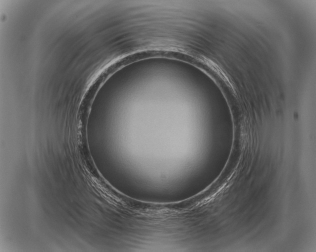 X0000085060926200703191321