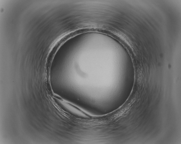 X0000085060927200703191321