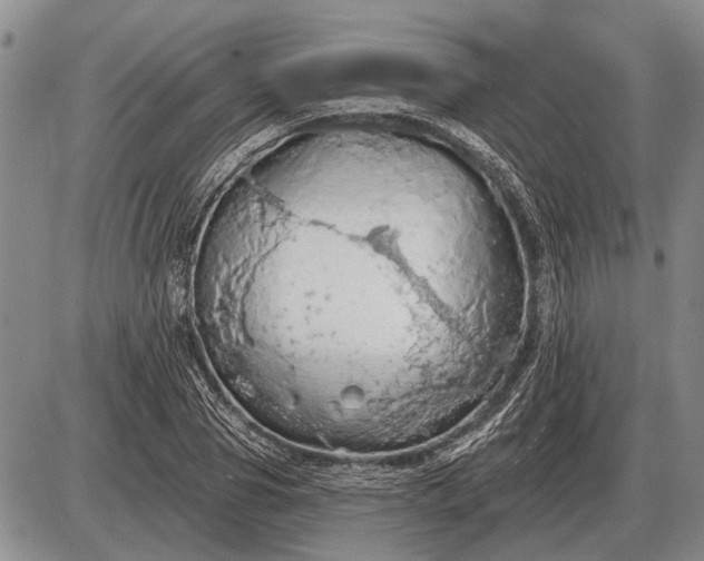 X0000085060929200703191321