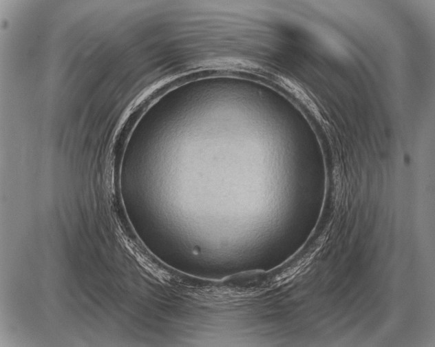 X0000085060931200703191321