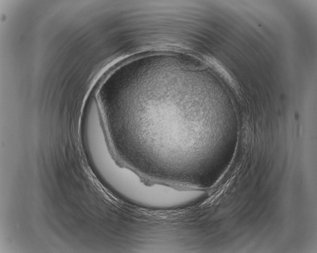 X0000085060932200703191321