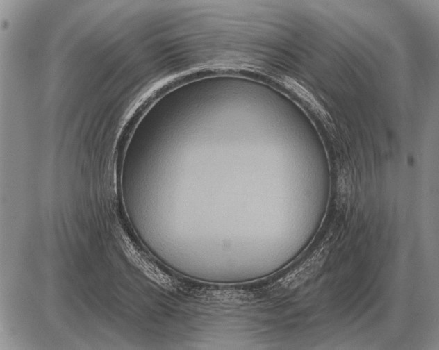 X0000085060934200703191321