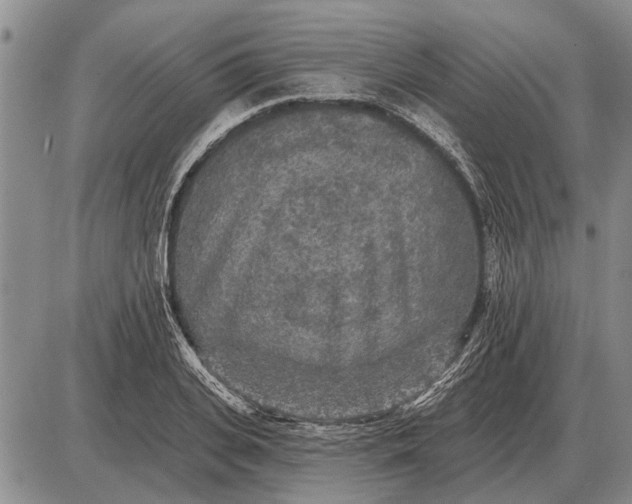 X0000085060935200703191321