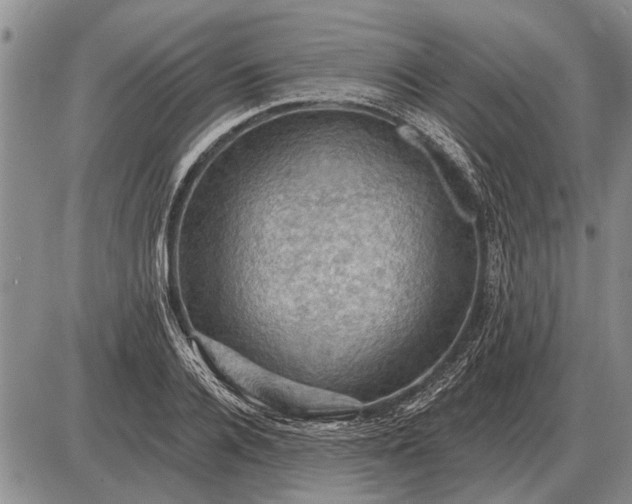 X0000085060936200703191321