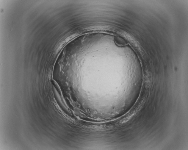 X0000085060937200703191321