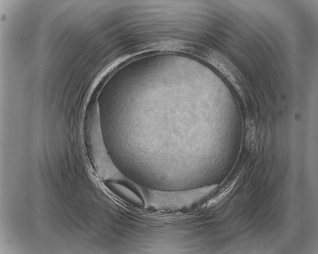 X0000085060939200703191321